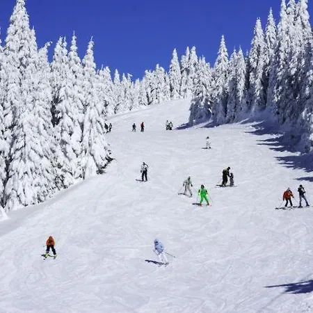 アパート Uni Kop