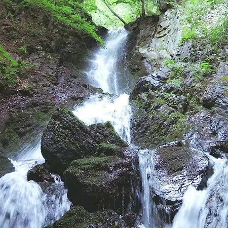 アパート Uni Kop Brzeće